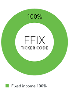 A pie chart showing that Fidelity All-in-One Fixed Income ETF/Fund is 100% fixed income.